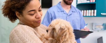 prix assurance animaux