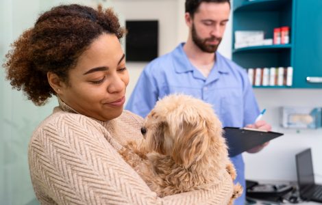 prix assurance animaux